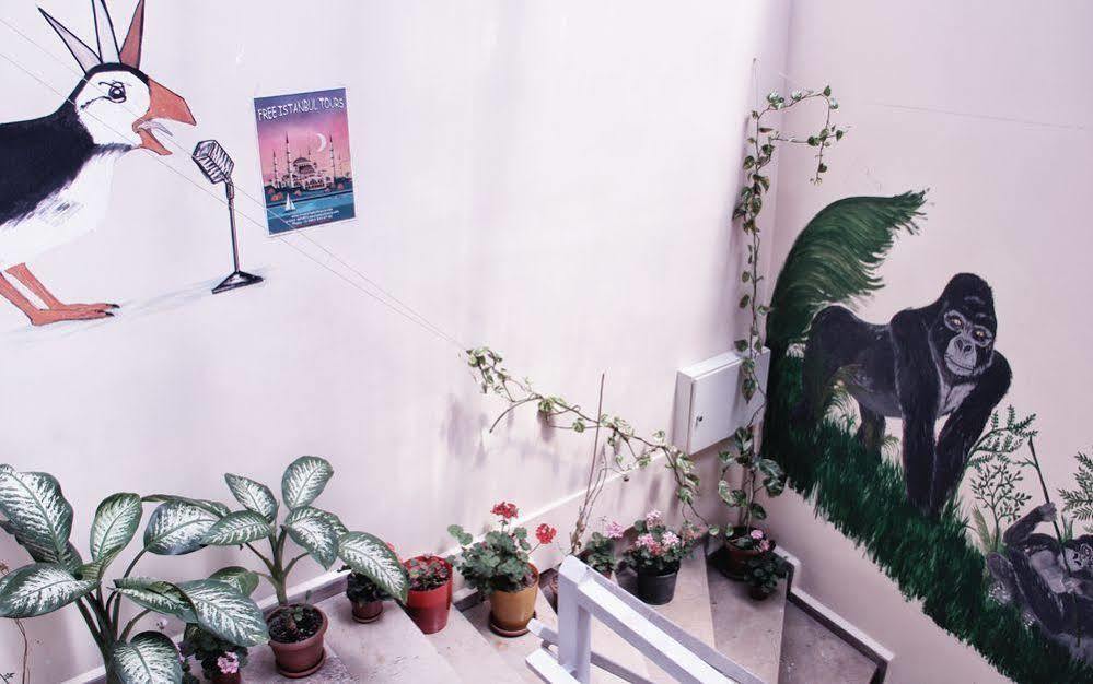 Puffin Boutique - Istanbul Hostel Bagian luar foto